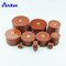China manufacture ceramic capacitor 15KV 3000PF 15KV 302 Vacuum Circuit Breaker Capacitor supplier