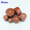 Doorknob capacitor 10KV 5000PF 10KV 502 Low tuned frequency drift capacitor supplier